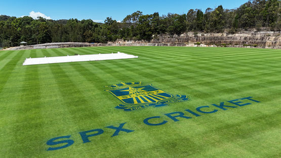 St Pius X College Cricket - Grass Signage and Signwriting Chaplin Oval