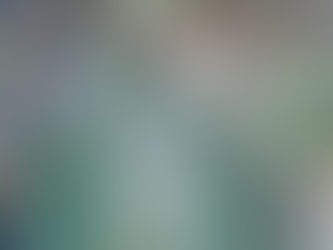 EU Burn Trees To Burn Fossil Bridges?