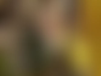 Soul Food: Week of January 2, 2022