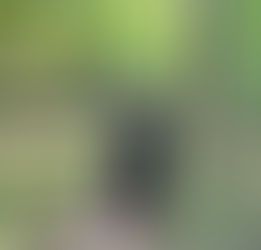 Charlie’s Greatest Legacy Is Faith in Us