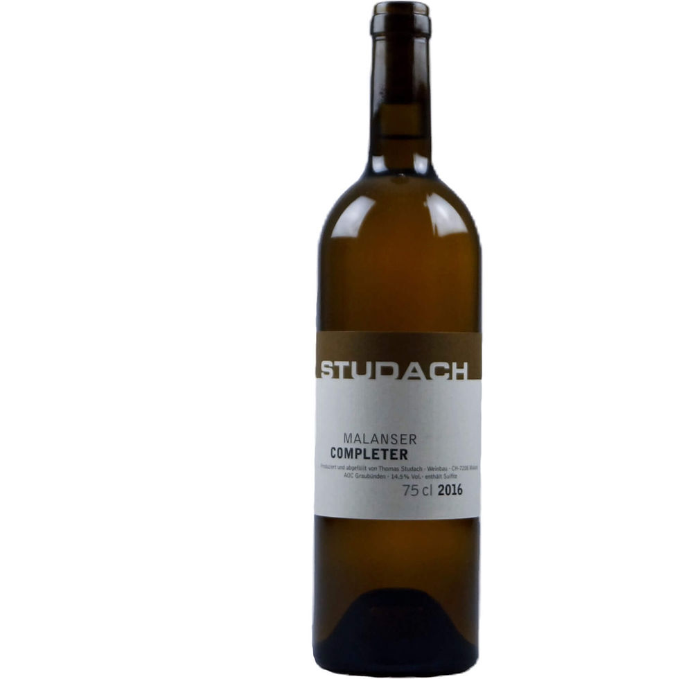 Studach - Completer 2023