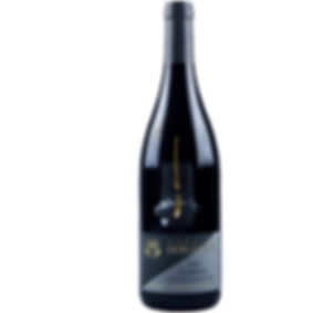 Donatsch - Pinot Noir Unique 2009-2020