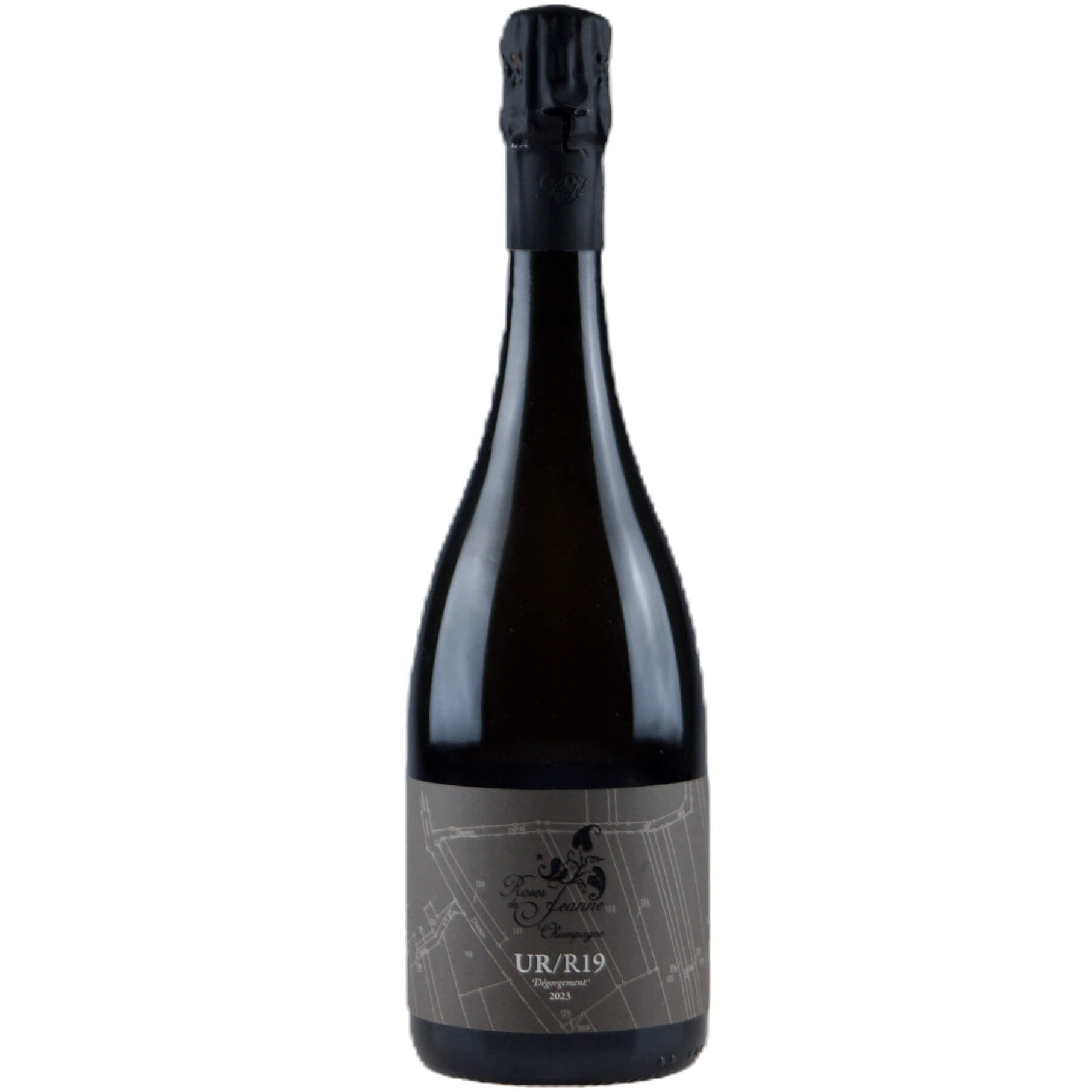 Bouchard (Roses de Jeanne) - Les Ursules 2019
