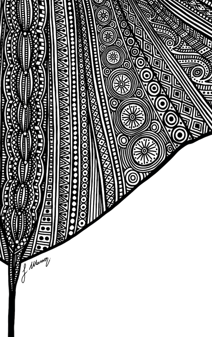 Thumbnail: The Manta Ray