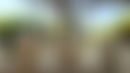 Top 10 Things to Do Around Rome During the 2025 Catholic Jubilee