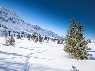 The Adamello Glacier: A Silent Giant in the Heart of the Italian Alps