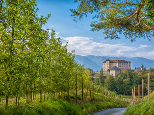 Val di Non's Autumnal Dreams: Where Apples Ripen and Stories Deepen