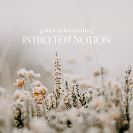Notion Ninja IG Posts (1).png