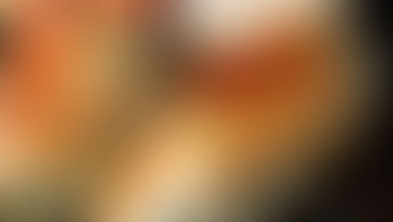 Stuffed Chicken with White Cheese Sauce & Spinach