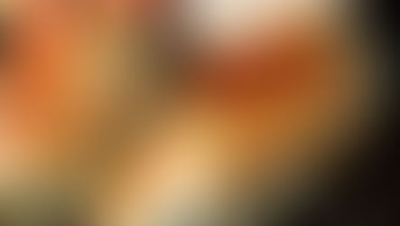 Stuffed Chicken with White Cheese Sauce & Spinach