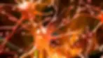 Orange and yellow glowing neurons.webp