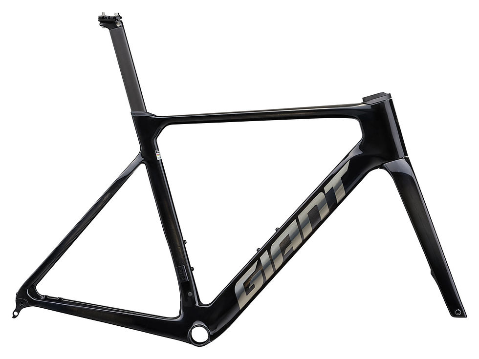 縮圖：2025 PROPEL ADVANCED PRO FF