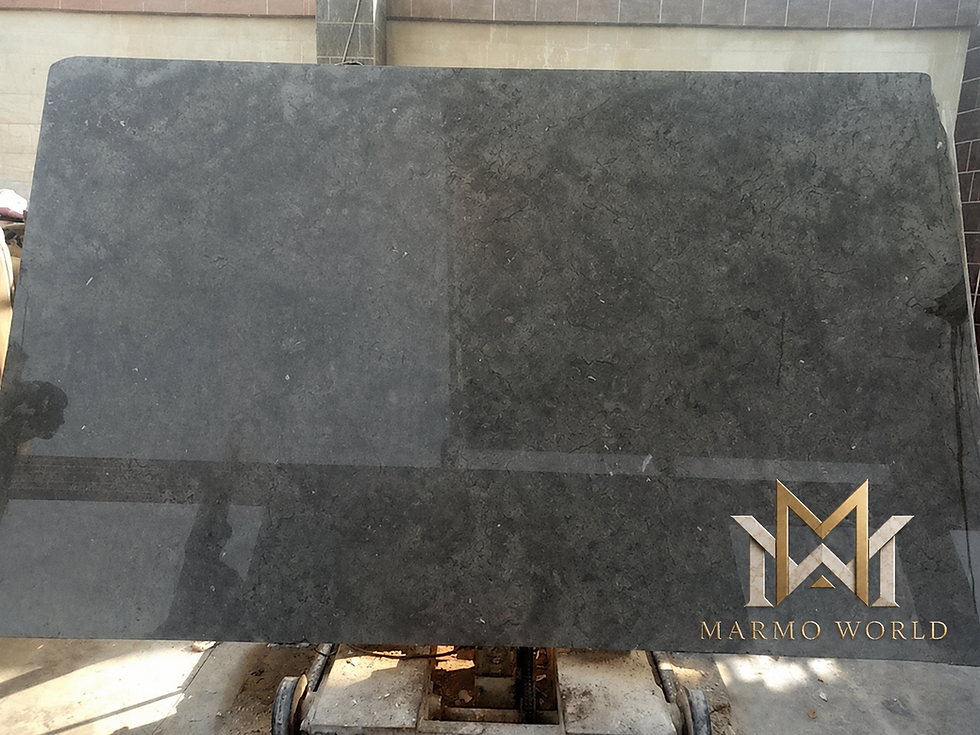 Large slab of Melly Grey Fossils Egyptian Marble