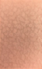 Reversed Copper Paisley and Flowers Background