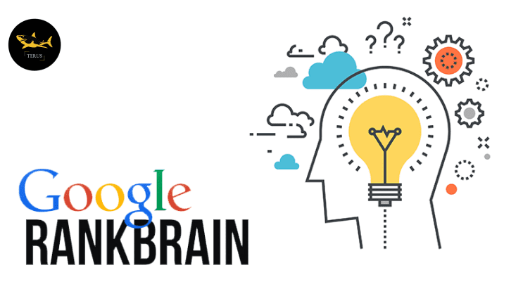 Google RankBrain là gì ? Mọi thông tin bạn cần biết về thuật toán Google RankBrain cho năm 2024