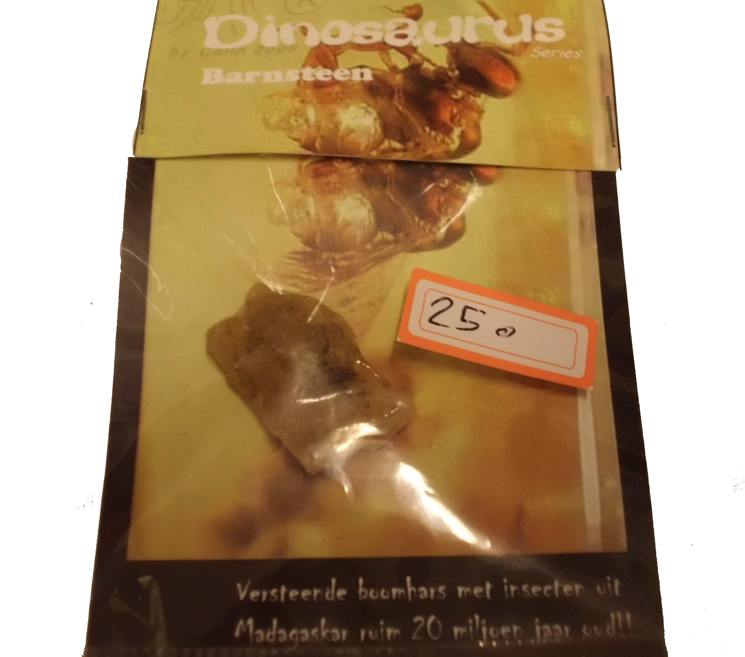 Insekt i rav, fra Madagaskar ca 20 mill år