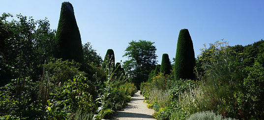 DSC03640.JPG