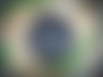 Strategic Project Management for Organizational Transformation