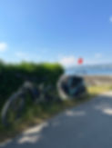IMG_4370.jpeg
