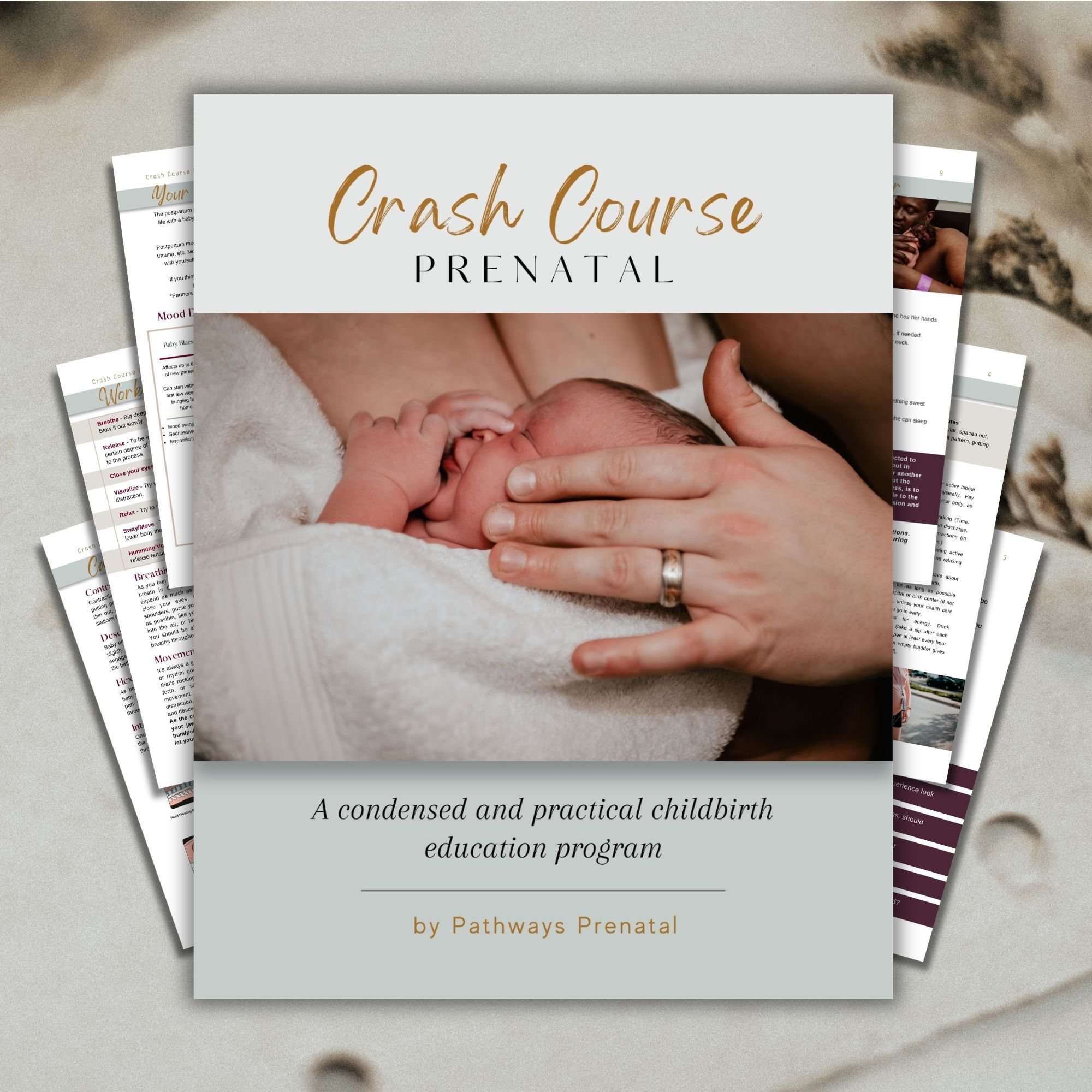 Crash Course Teachable Prenatal Class
