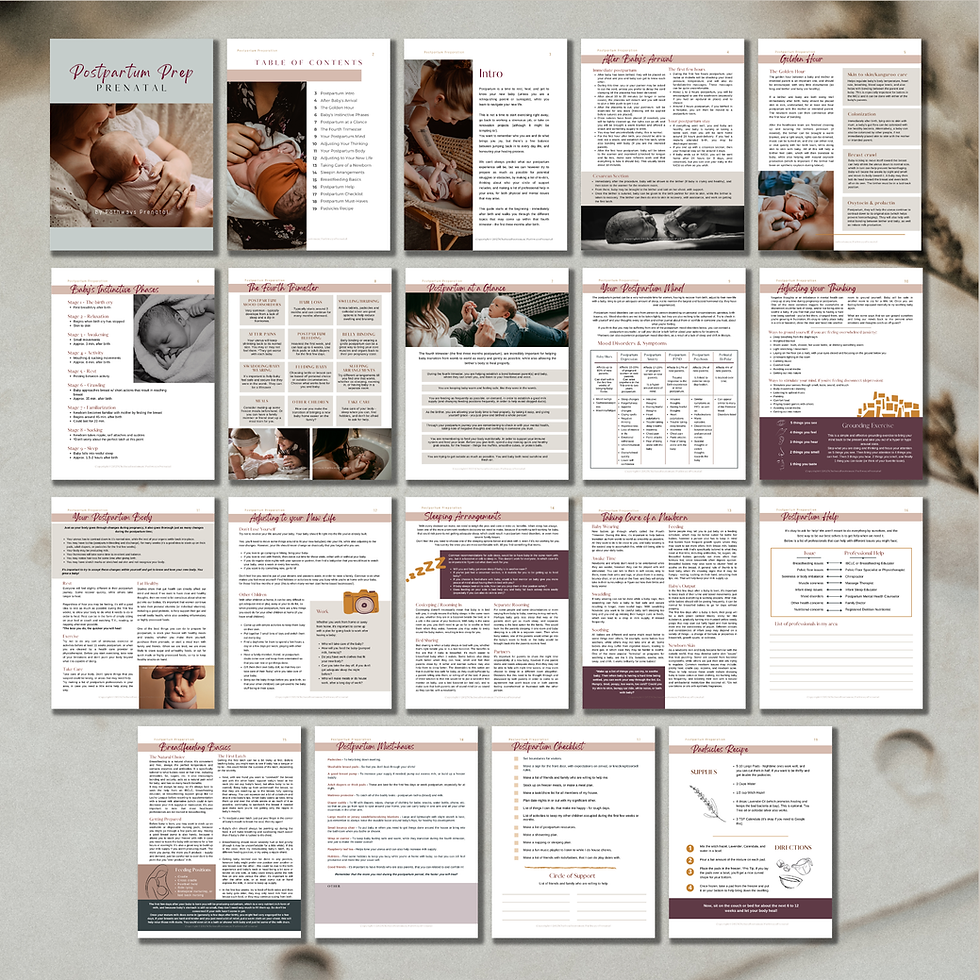 Thumbnail: Postpartum Preparation Teachable Prenatal Class