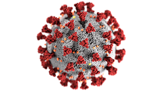 COVID-19 a tréningy