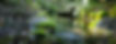 AdobeStock_432294344.jpeg