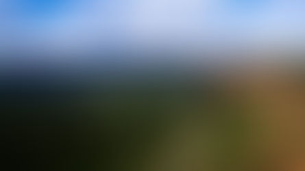 Inscrições abertas para concurso de desenho e fotografia que celebra patrimônio natural de Chapada