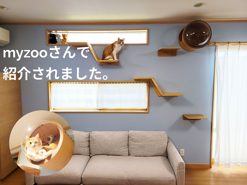 myzooさんで紹介されました。