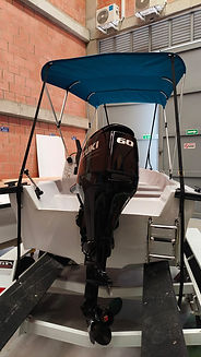 Fuera de Borda 4 tiempos.jpeg