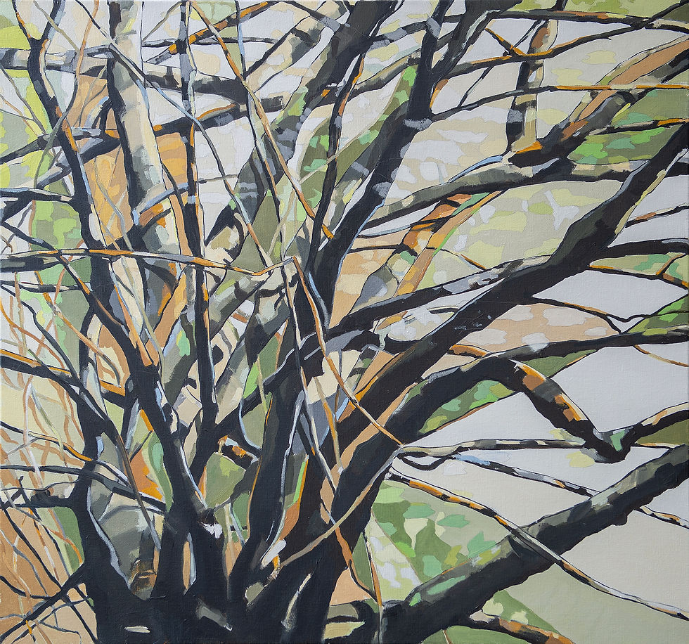 Tree Life, oil on canvas, 80 x 80 cm, by Karin Moorhouse