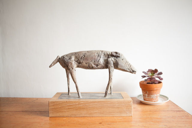 Small Wild Pig by Christopher Marvell