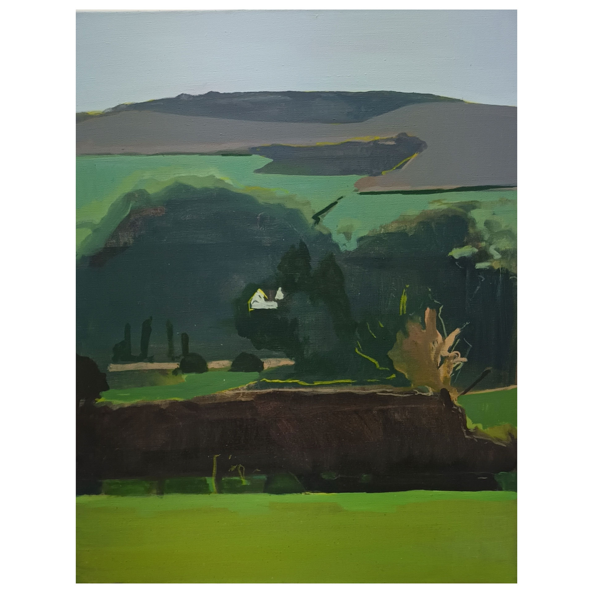 Fields in Winter by Tom Farthing, oil on canvas 67 x 51 cm