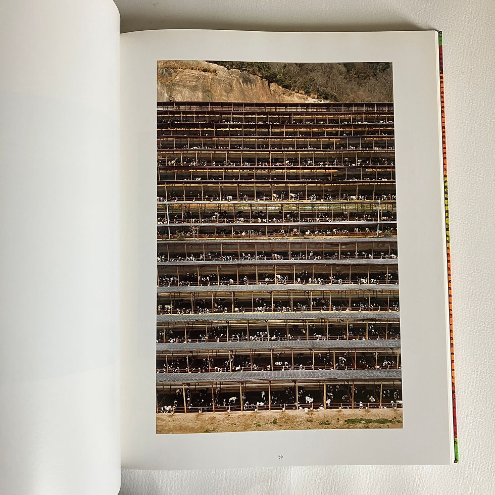 Thumbnail: Andreas Gursky - Thomas Weski & Don DeLillo