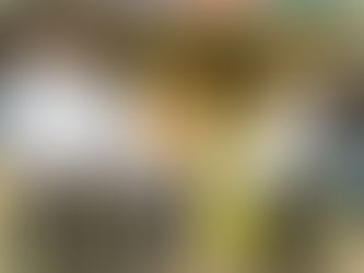 शबरी थालीपीठ सेंटर