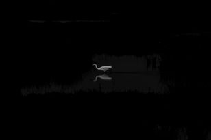 Solitude
