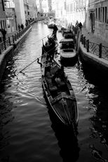 Venezia, le sue coste e la sua laguna