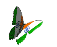 happy-republic-day-butterfly.gif
