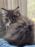 a2012e42-ddab-4cd7-85b1-637250c18ef0.jpg