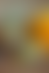 柿と水菜のサラダ、カッテージチーズ添え Persimmon, mizuna salad with cottage cheese.