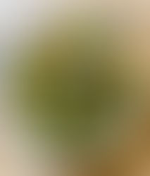 ローストパンプキンとイチジクのサラダ Roasted pumpkin and figs salad