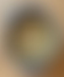 チキンのソース ア・ラ・フランセーズ Chicken with sauce a la Francaise