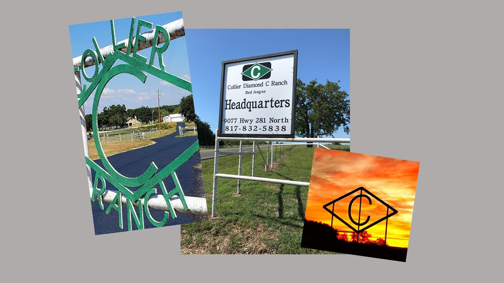 Diamond C Ranch Estates