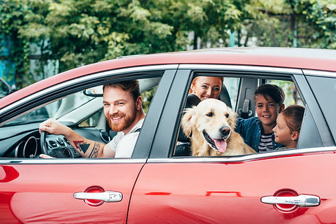 beautiful young family travelling by car with dog.jpg