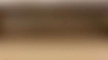 ICE Reports 120% Rise in Arrests