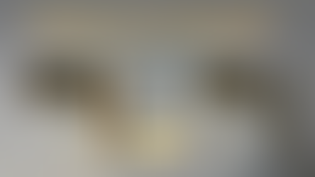 SPD Arrests Two for Firearm Crimes 