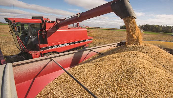 Ag Minute: Mid-October Harvest Update in Central Illinois