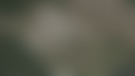 The Correctional Industries Program