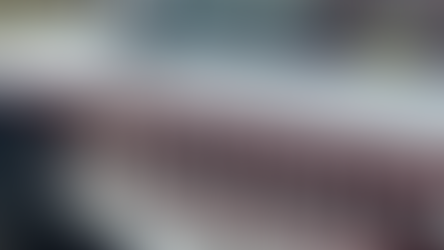 31 Arrested in Sangamon County Traffic Enforcement Operation