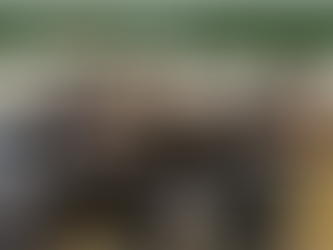 Los efectos negativos de las calificaciones en los niños.